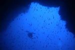 Blue Hole. Особенности и техника погружений